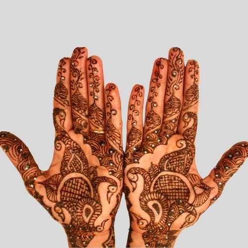 Royal Front Hand Mehndi Design
