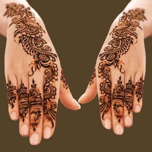 Royal Front Hand Mehndi Design